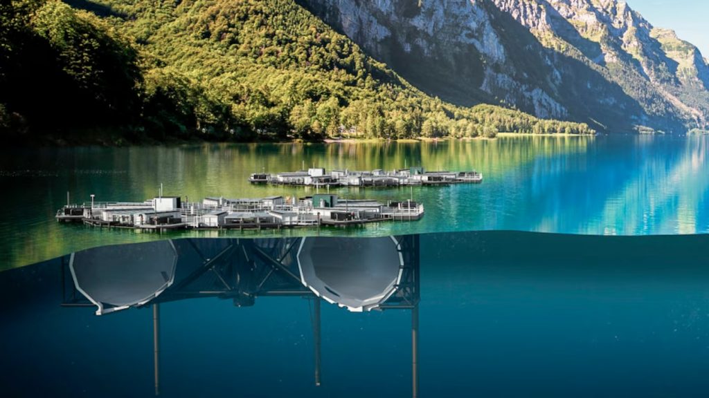 psicultura01-1024x576