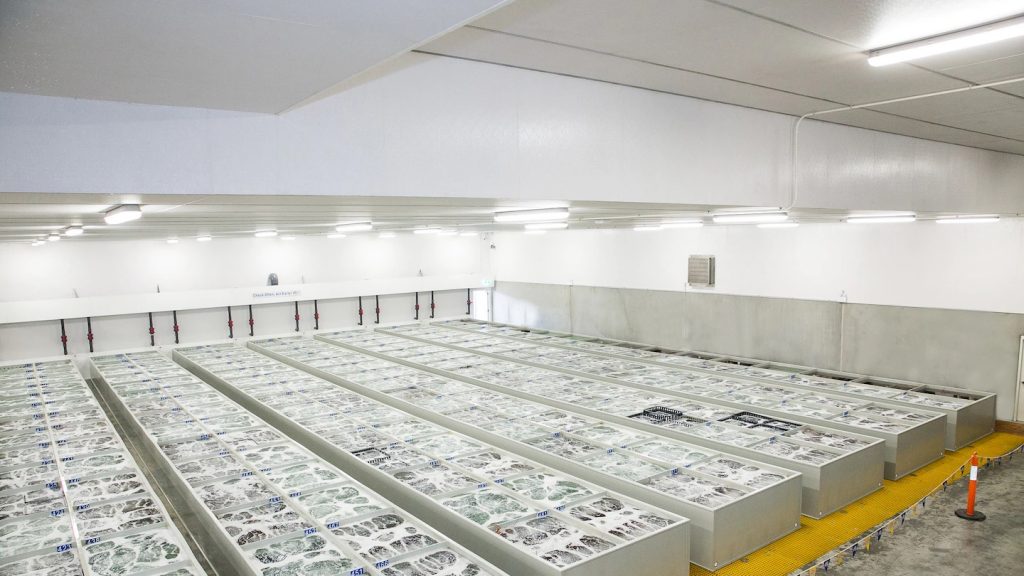 Instalación de tanques para cría de peces en ambiente cerrado, mostrando el control avanzado de filtrado y circulación del agua en la acuicultura moderna