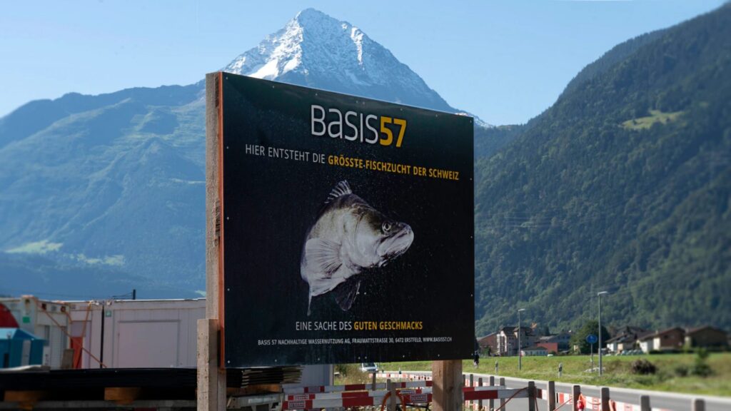 Cartel de Basis 57 frente a los Alpes suizos en Erstfeld, Suiza, anunciando el mayor criadero de peces del país, especializado en la producción sostenible de luciopercas