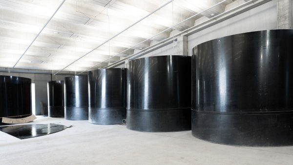 Tanques de piscicultura hechos de polietileno termoplástico en la planta Basis 57, diseñados para optimizar el bienestar de los peces