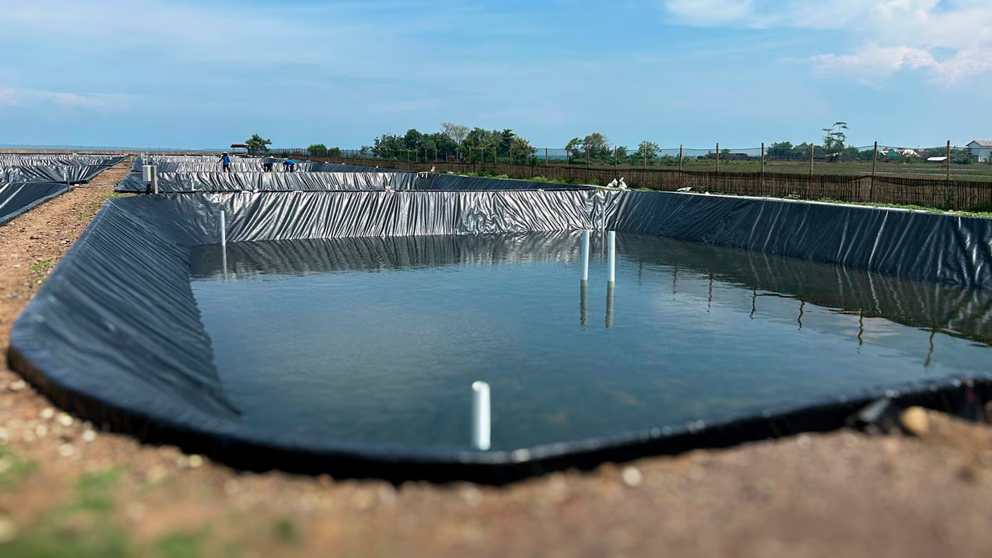 Granja de camarones con estanques impermeabilizados con geomembrana de PEAD soldada con Leister TWINNY S, garantindo estanqueidad y operación segura