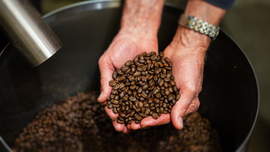 Granos de café tostados de manera homogénea en tostador industrial con tecnología de aire caliente Leister