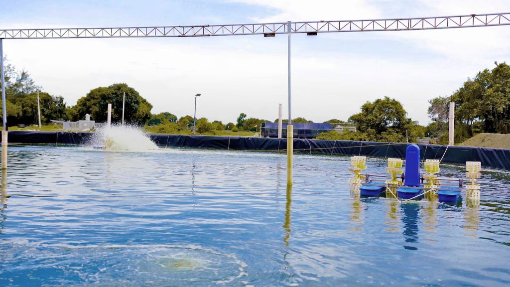 Manejo de estanques acuícolas revestidos con geomembranas de PEAD unidas mediante soldadura Leister para evitar fugas